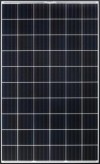 Q CELLS Q.PEAK-G3 275