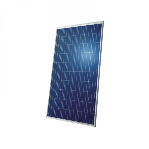SolarWorld 255 Poly