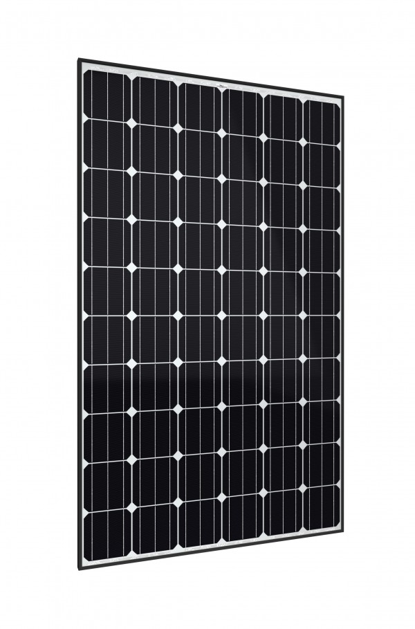 Trina Solar TSM-300DD05A.08 (II)